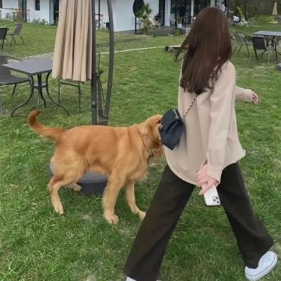 三狼奇案国语